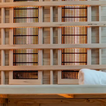 Bedrooms With Sauna&bath And Free Parking 公寓 克拉科夫